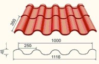 Tegula maxi_1
