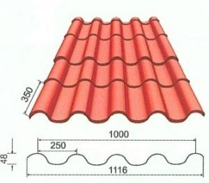 Tegula_1
